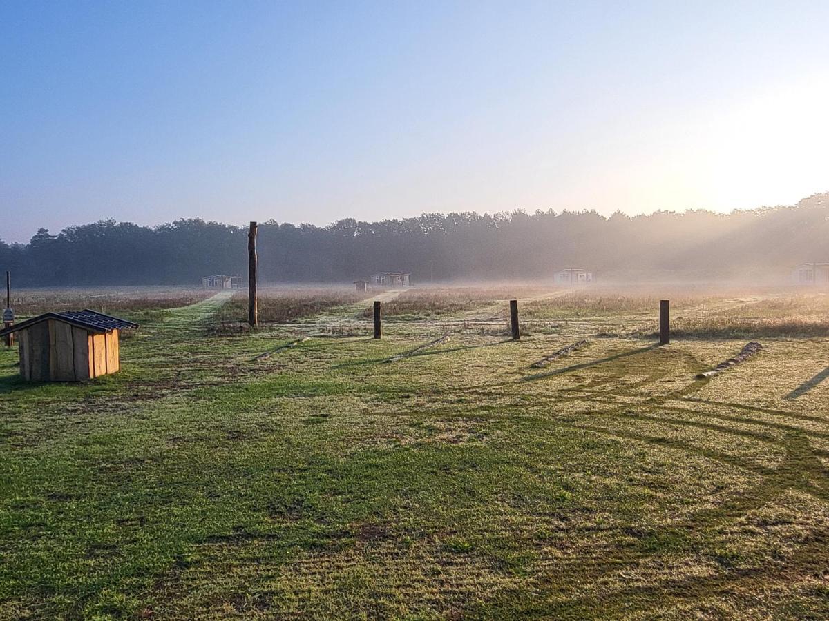 Hoeve Twente - De Buizerd Villa Heythuysen Exterior foto